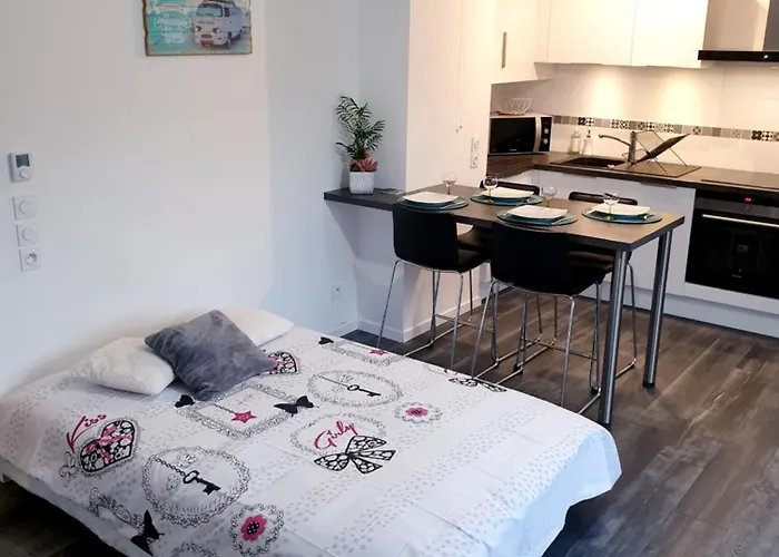 Appartement Studio O Fil De L\'O A 12 Kilometres De Disneyland Paris